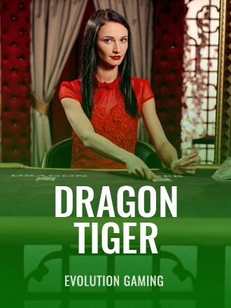 Dragon Tiger image
